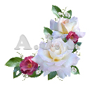 White - Burgandy Roses