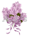 Lilacs Bouquet