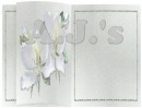 Orchid Book