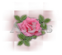 Pink Rose - Tiled Bkg