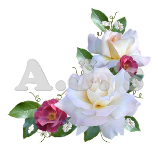 White - Burgandy Roses