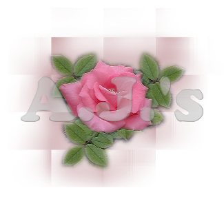 Pink Rose - Tiled Bkg