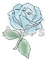 Baby Blue Rose